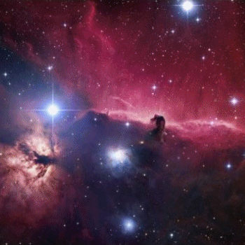 The Horsehead Nebula in the Orion Nebula