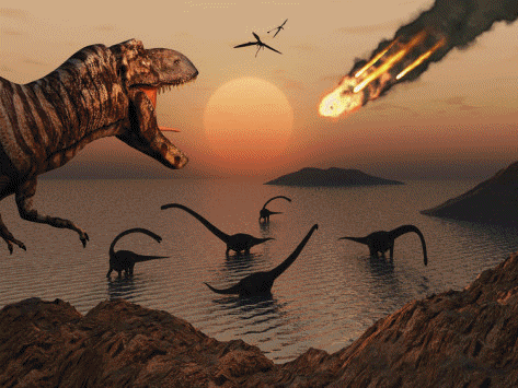 Paleontology images