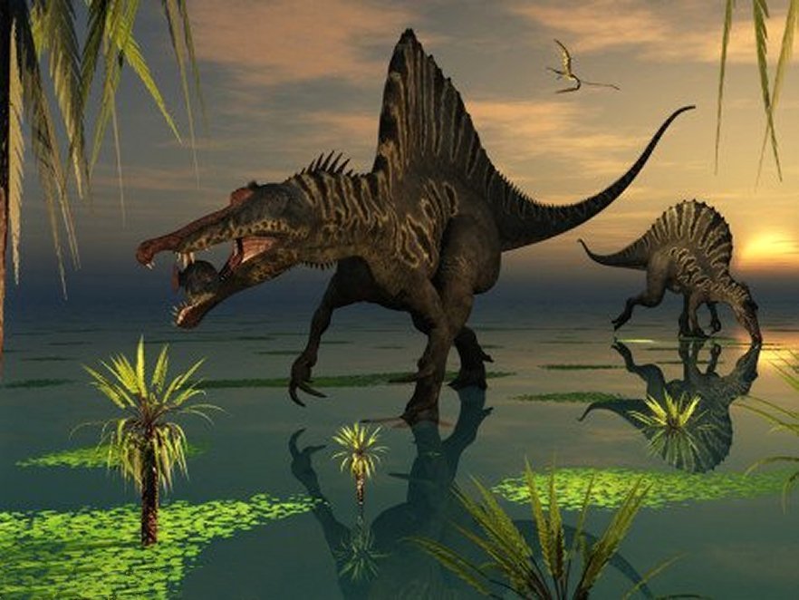 Paleontology image - Spinosaurs