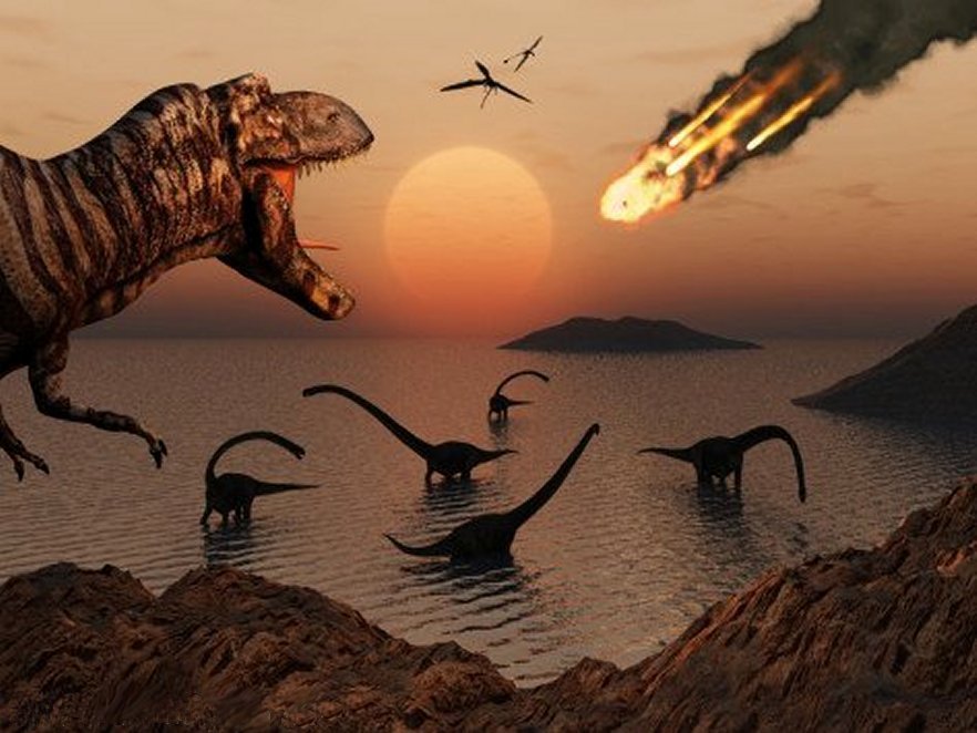 Paleontology - Tyrannosaurus Rex and Brachiosaurs