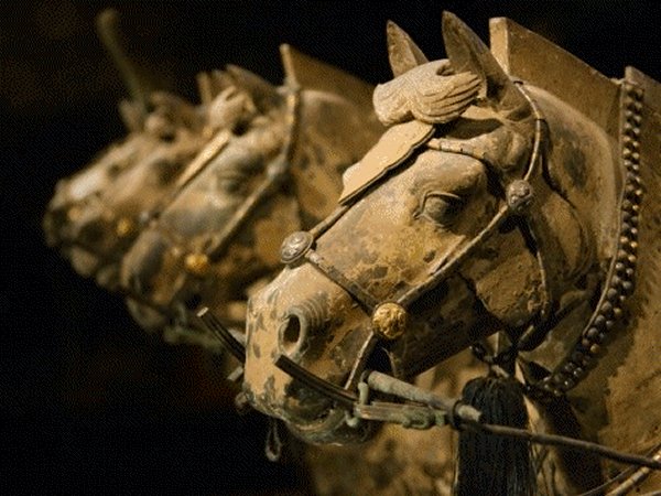 Terracotta Army, Horses
