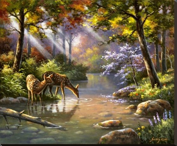 Doe Ray Me Creek by Sung Kim