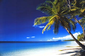 Beach Morning, Poster