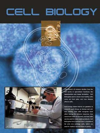 Cell Biology Poster