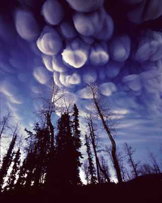 Clouds of Ash, Photography by John Pezzenti Jr., Art Print