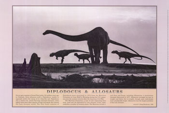 Diplodocus and Allosaurs Dinosaurs Poster