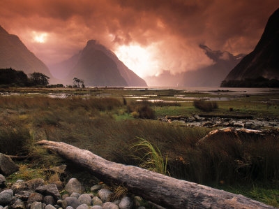 Dough Pearson - Milford Sound Fiordland, South Island, New Zealand, art print