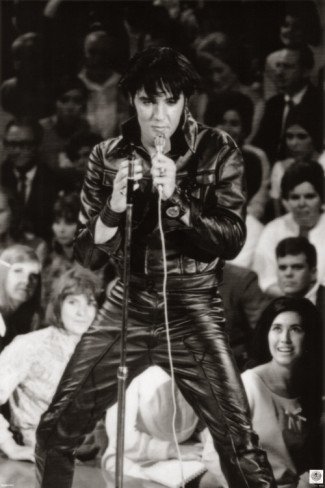 Music Poster, Elvis Presley