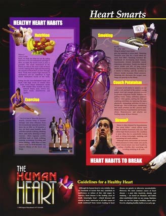 Heart Smarts - The Human Heart, anatomy poster