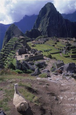 Machu Picchu, Peru, Art Print