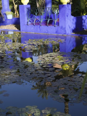 Jardin Majorelle, Marrakech, Morocco, Art Print