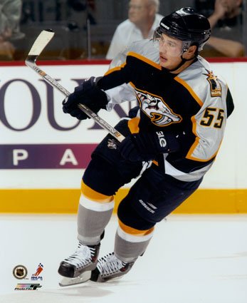 http://www.posters-n-prints.com/zoom/nashville-predators-ice-hockey-poster.jpg