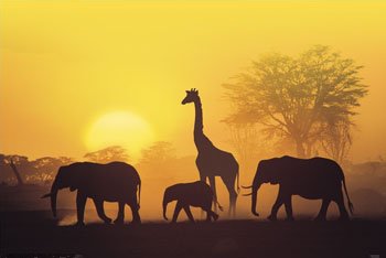 Sunset in Kenya