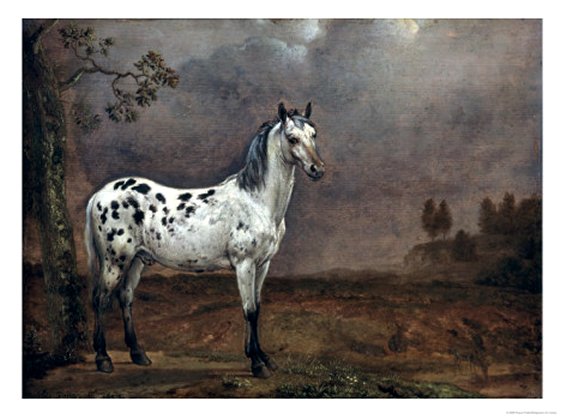 The Piebald Horse, 1653 by Paulus Potter