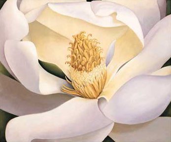 Magnolia by Virginia Huntington, Art Print