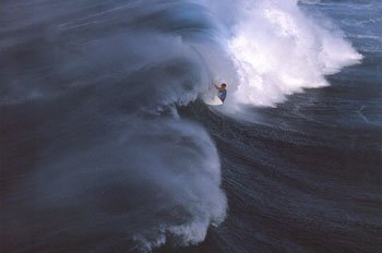 Windsurf A Hawai - Surfing Poster