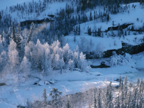 River with Ice and Snow-Covered Trees in Yellowknife, Canada